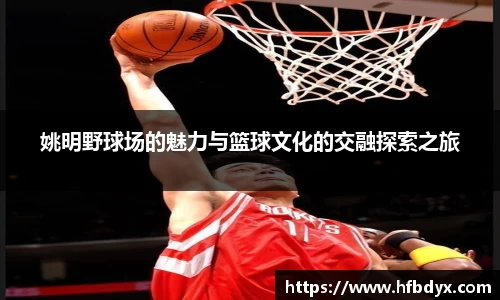 姚明野球场的魅力与篮球文化的交融探索之旅