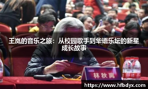 王岚的音乐之旅：从校园歌手到华语乐坛的新星成长故事